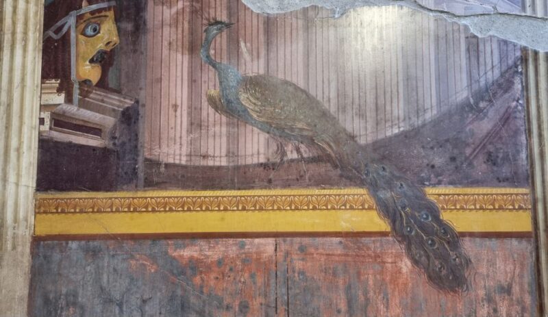 Torre Annunziata: Villa Poppea Smartphone Audio Guide - The Sum Up