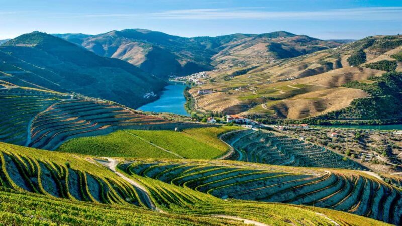 Torre de Moncorvo: Douro Valley Wine Farm & Rural Workshops - The Sum Up: Who Will Love This Tour?