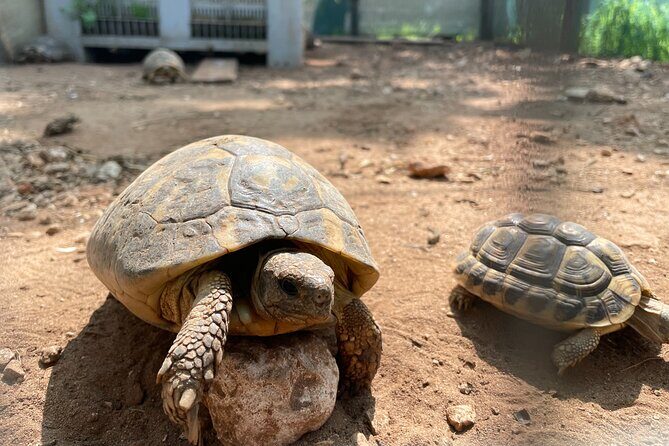 Torre Guaceto EBike Tour - The Experience of Snorkeling in Torre Guaceto