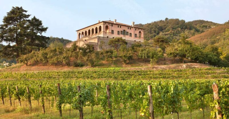 Torreglia: Villa dei Vescovi - Key Points