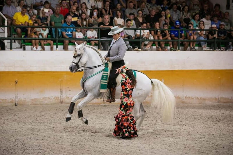Torremolinos: Spanish horse show and flamenco with dinner option - Practical Details for Travelers