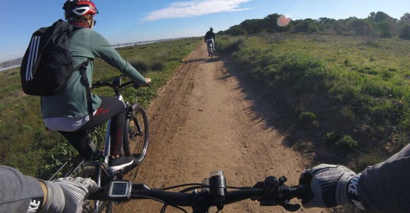 Torrevieja: Natural Parks e-Bike Tour - Exploring the Tour Overview