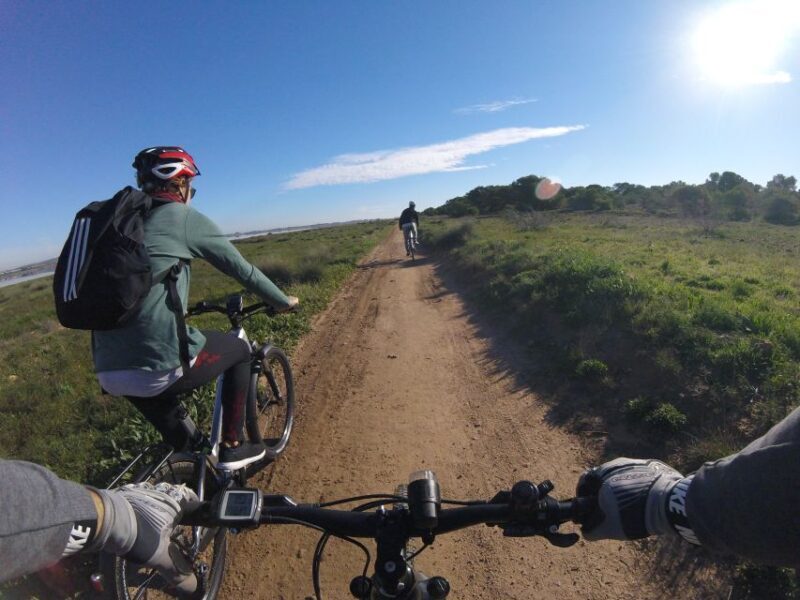 Torrevieja: Natural Parks e-Bike Tour - Who Will Love This Tour?