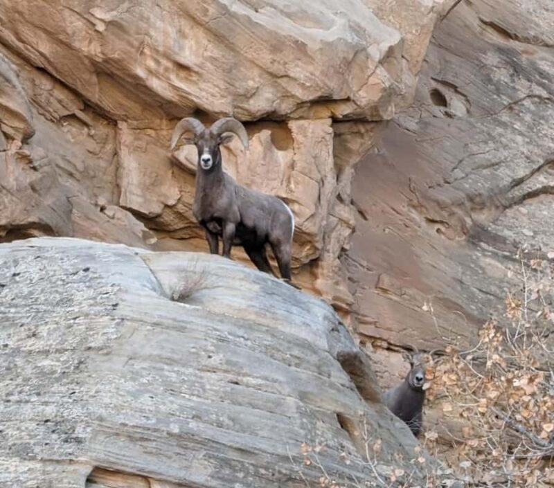 Torrey: Capitol Reef National Park Temples of the Sun & Moon - An In-Depth Look at the Tour Experience