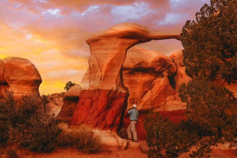 Torrey: Cosmic Ashtray, Devil's Garden, and Cedar Wash Tour - Who Would Enjoy This Tour?