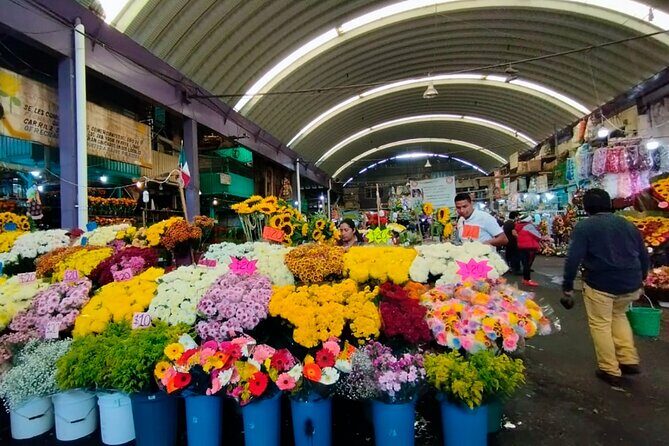 Tortilla Crawl: Food Tour in Mexico City - An In-Depth Look at the Tortilla Crawl Experience