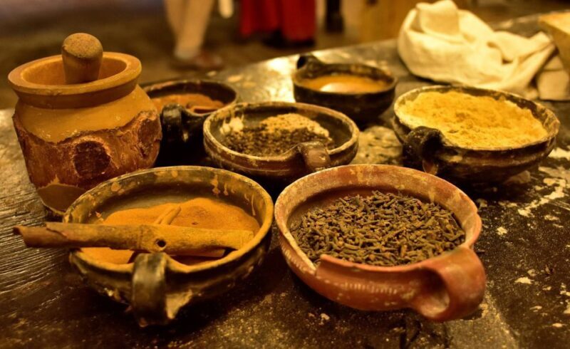 Toru: Full-Day Tour of the City of Copernicus - Key Points