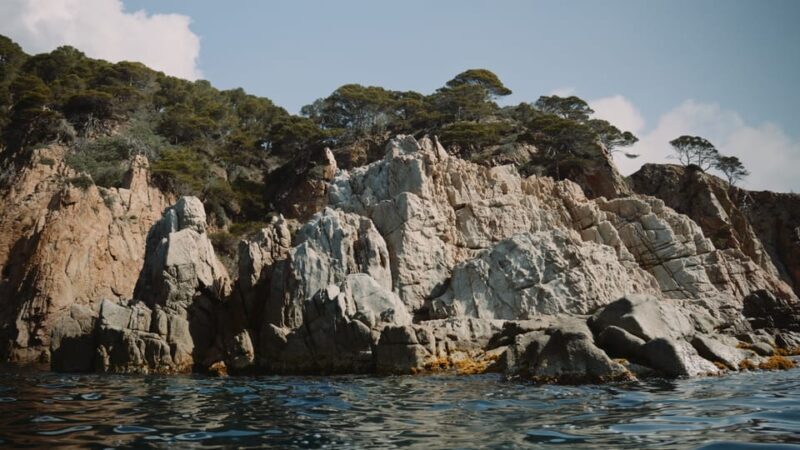 Tossa de Mar: Guided Kayaking Tour & Snorkelling - The Experience’s Strengths & Slight Drawbacks