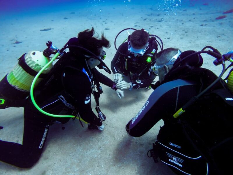 Tossa de Mar: Scuba Diving Experience for Beginners - Final Thoughts
