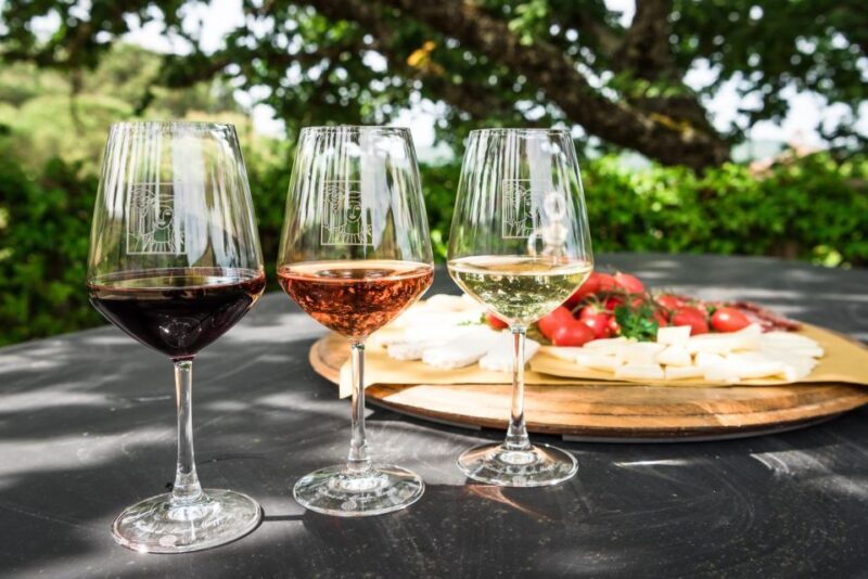 Total Immersion Experience Italian version - A Closer Look at the Total Immersion Experience at Montemaggio