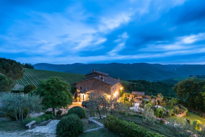 Total Immersion Wine Tour in Chianti - What Is the Total Immersion Wine Tour in Chianti?