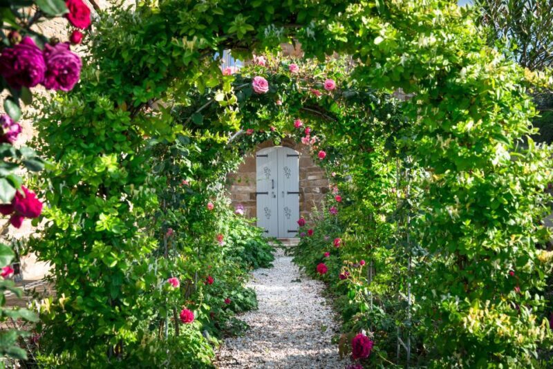 Total Immersion Wine Tour in Chianti - Why We Love This Experience