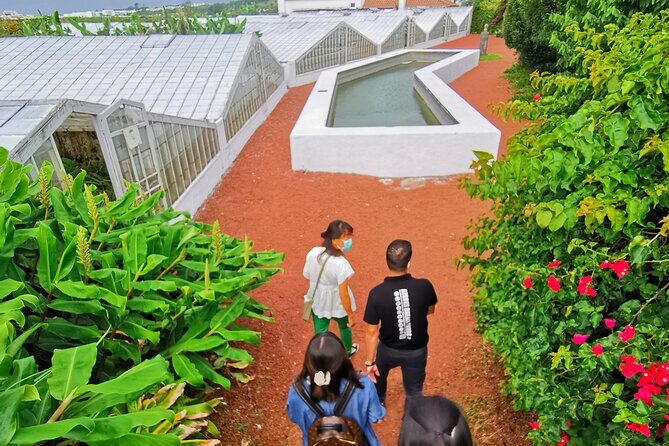 Totally personalized private tour to Sete Cidades and Lagoa do Fogo (west) - Pineapple Greenhouses and Local Agriculture
