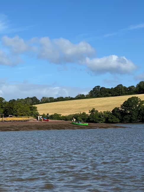 Totnes: Canoe the River Dart - Exploring the River Dart: A Guided Canoe Tour from Totnes