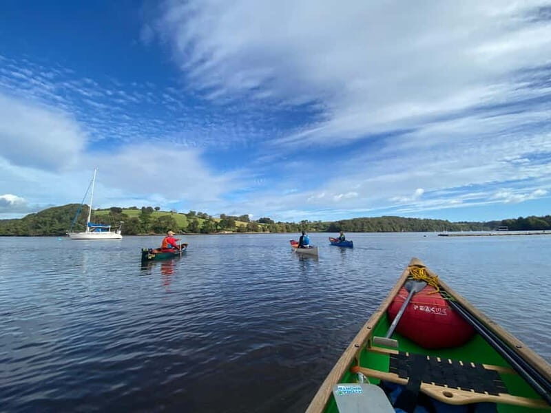 Totnes: Canoe the River Dart - The Experience: What to Expect from Start to Finish