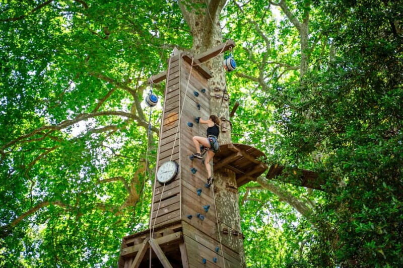 Toulon: Tree climbing course - Key Points