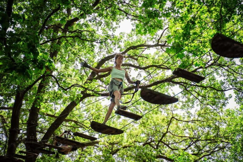 Toulon: Tree climbing course - The Sum Up
