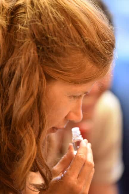 Toulouse : Cheese & wine tasting workshop with a cheesemaker - Key Points