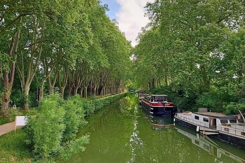 Toulouse panorama, electric bike ride and cable car - Final Word