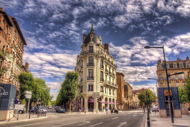 Toulouse Private Walking Tour With A Professional Guide - Who Will Benefit Most?
