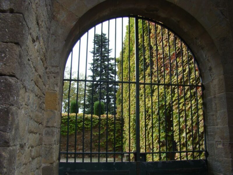 Toulouse to Carcassonne & Albi: Private Sightseeing Tour - Key Points