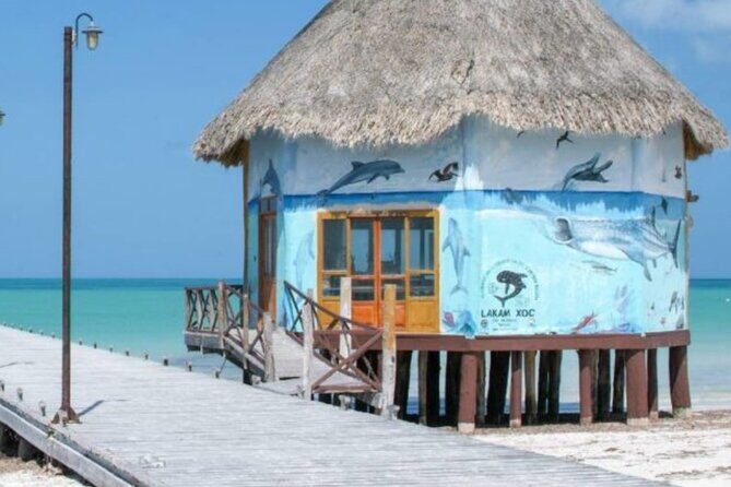 Tour 3 Islands in Holbox Premium Experience - Introduction: Is this tour worth your time?