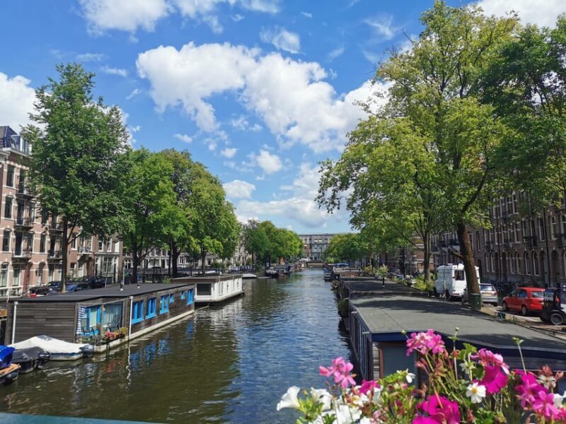 Tour Amsterdam: Old Town, Jewish Quarter and Flower Market - Practical Details & What to Expect