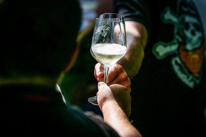 Tour and 3 wines tasting in the Prosecco Hills - Key Points