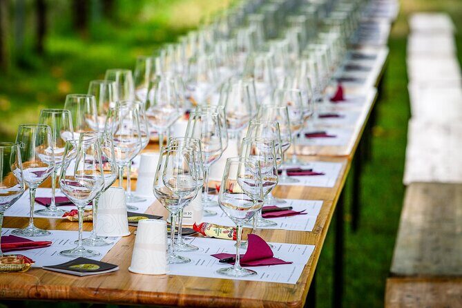 Tour and 3 wines tasting in the Prosecco Hills - The Experience in Detail