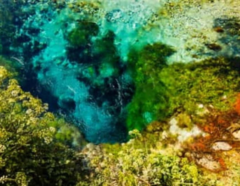 Tour and guide Blue Eye  Butrint - The Sum Up