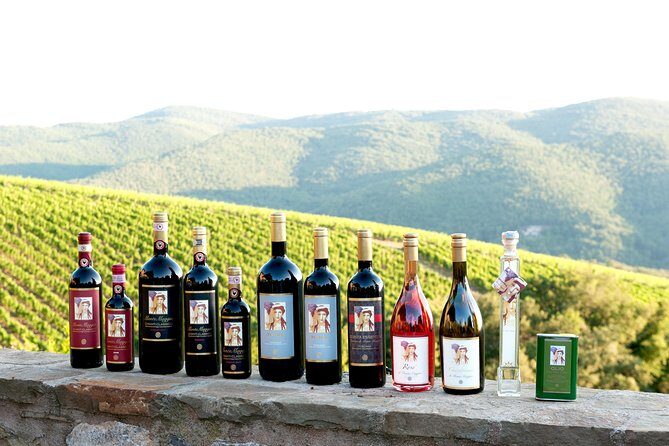 Tour and Tasting at an Organic Winery in the Heart of Chianti Classico Area - Introduction