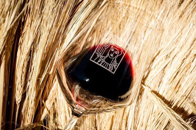 Tour and Tasting at an Organic Winery in the Heart of Chianti Classico Area - Practical Details and Considerations