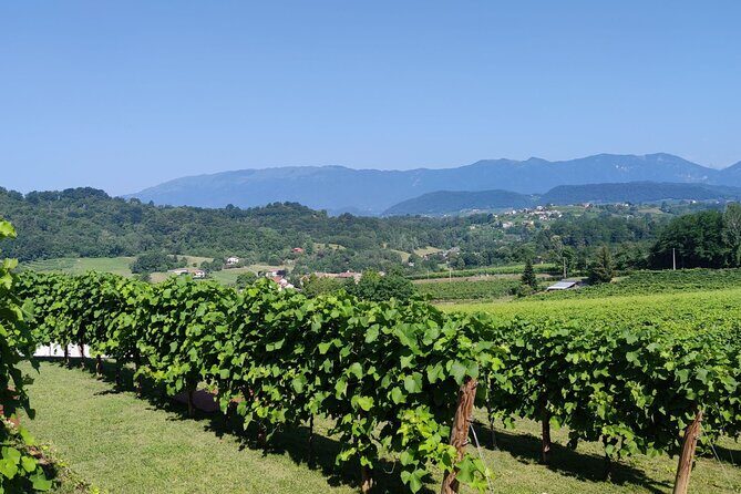 Tour and tasting in the hills of Prosecco Superiore DOCG - The Value of the Tour