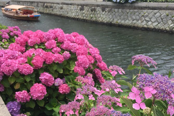 Tour around Matsue Horikawa - Final Thoughts