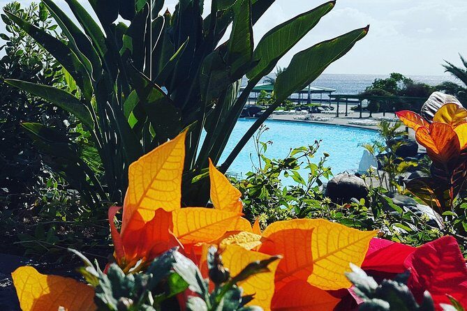 Tour Around the Island - Private VIP Tour in Tenerife - FAQs