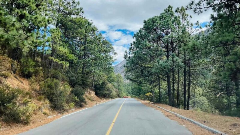 Tour "Arteaga Coahuila" + Guía + Traslados + Tickets - A Closer Look at the Arteaga Tour Experience