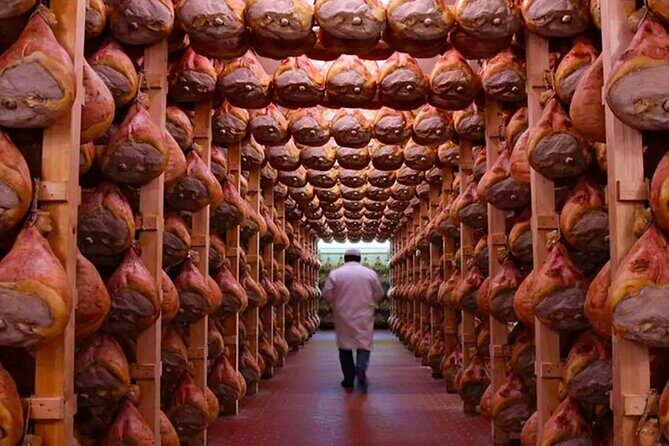 Tour at a Parma Ham Producer - Key Points