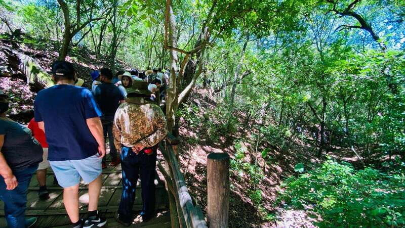 Tour "Bioparque" + Traslados + Tickets incluidos - Final Thoughts