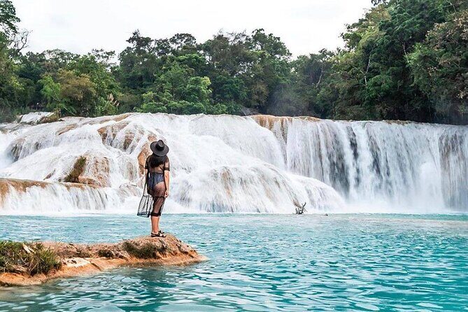 Tour Blue Waterfalls MisolHa and Palenque Waterfall - Introduction