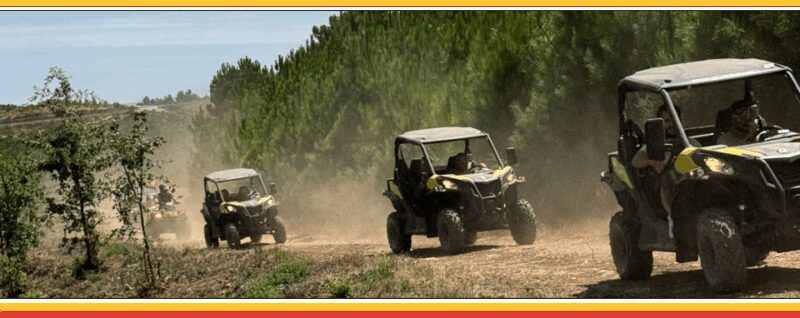 TOUR BUGGY IN BOTICAS AND CHAVES - What We Think: The Bottom Line