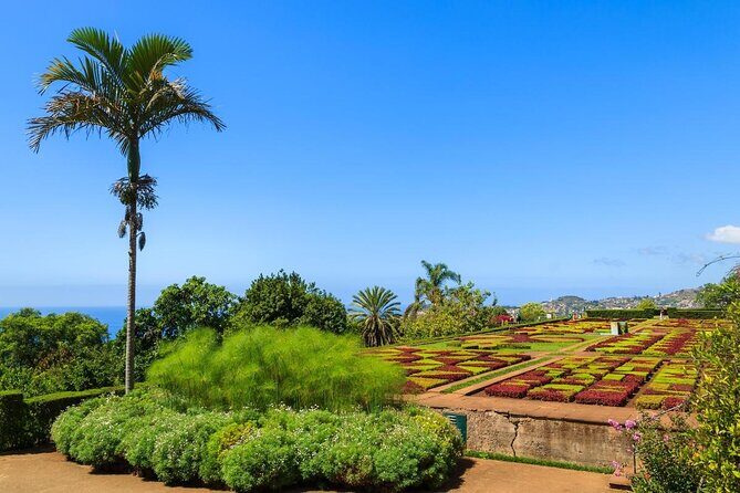 Tour Cable Car Toboggan Tropical Garden and Skywalk - An In-Depth Look at the Cable Car, Toboggan, and Tropical Garden Tour