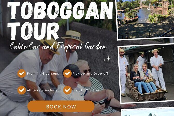 Tour Cable Car Toboggan Tropical Garden and Skywalk - Authentic Experiences and Extra Tips