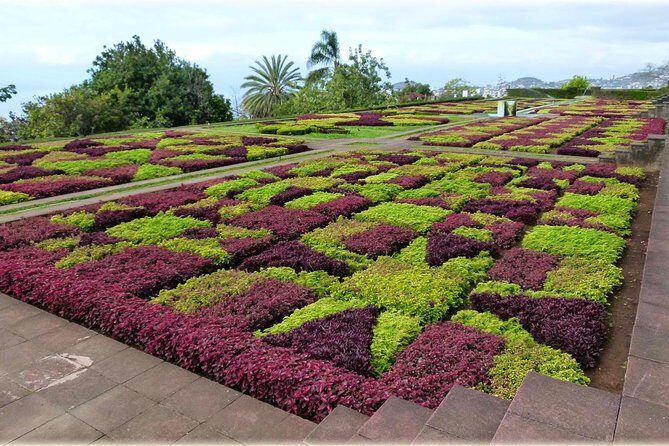 Tour Cable Car Toboggan Tropical Garden and Skywalk - Who Should Consider This Tour?