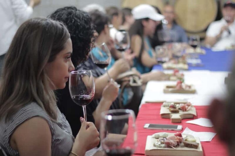 Tour+ Cata 3 vinos / Tour + 3 wine tasting - A Close Look at the Experience