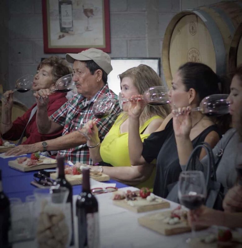 Tour+ Cata 3 vinos / Tour + 3 wine tasting - FAQs about the Tour+ Cata 3 Vinos