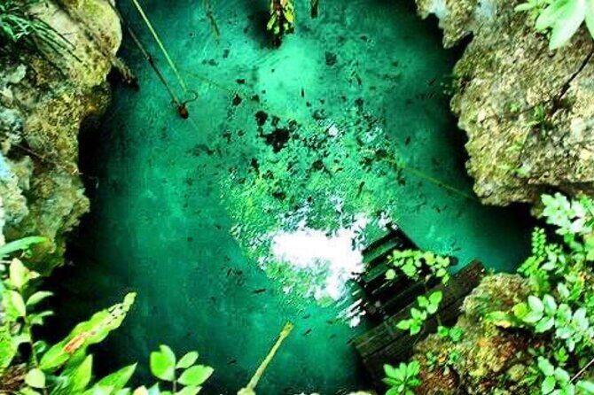 Tour Cenote Santa Cruz - FAQ