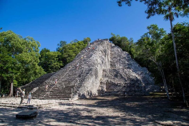Tour Coba Ruins & Refreshing Cenote Xux Ha Swim With Lunch - An In-Depth Look at the Tour Experience