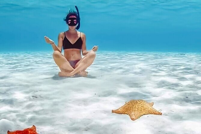Tour Cozumel Snorkel Experience! Lunch & Transportation only from Cancun - Key Points