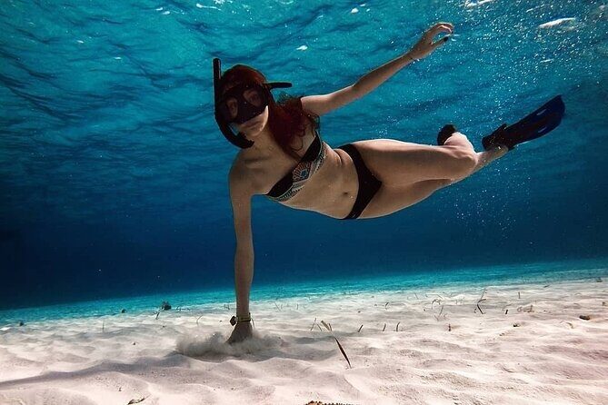 Tour Cozumel Snorkel Experience! Lunch & Transportation only from Cancun - The Experience in Detail