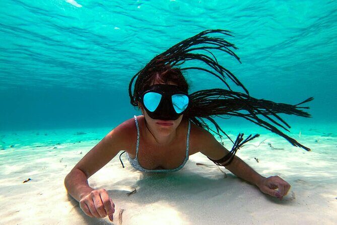 Tour Cozumel Snorkel Experience! Lunch & Transportation only from Cancun - What the Reviews Say